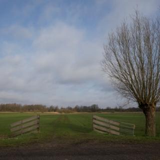 No title (hek met polder) No title (hek met polder)