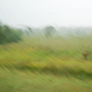 Argentinien 3 Argentinien 3