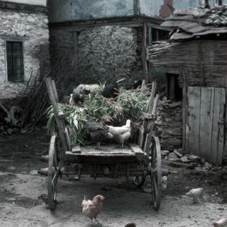 Greece '72 – '74 (chicken) Greece '72 – '74 (chicken)